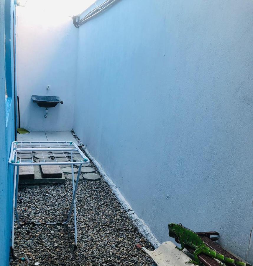 Апартаменти Apartamento Blue Horse Pipa Praia de Pipa Екстер'єр фото